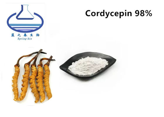 Cordyceps Militaris Extract 98% Cordycepin Powder Food / Healthcare Grade