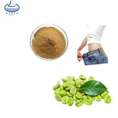 Green Coffee Bean Extract Weight Loss Foods Chlorogenic Acid Powder