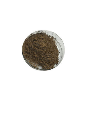 Solvent Extraction Pure Plant Extracts Ginkgo Biloba Extract