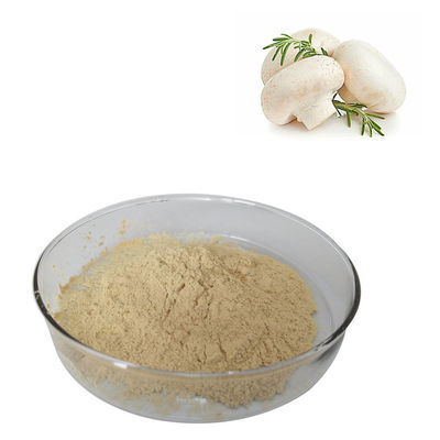Food Grade Pure Plant Extracts White Button Mushroom Extract Powder
