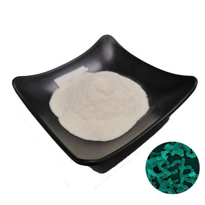 Beverage Pure Plant Extracts Natural Acidophilus Powder Probiotic Lactobacillus