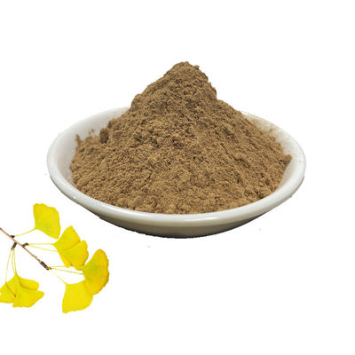 Straight Leaf Flavonoids Ginkgo Biloba Powder 6%-24%
