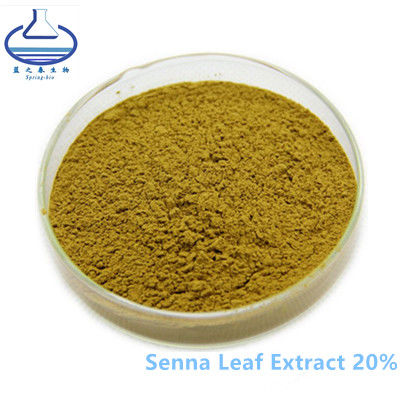 Sennoside 20% L Ergothioneine Powder  , 517-43-1 Senna Leaf Extract Powder