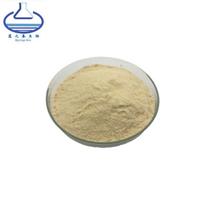 CAS 72480-62-7 Pure Plant Extracts Panax Ginseng Extract Powder
