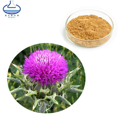 80% Pure Plant Extracts Silymarin Powder Milk Thistle Extract Powder