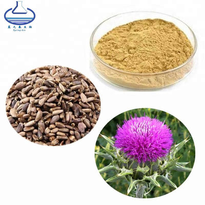 80% Pure Plant Extracts Silymarin Powder Milk Thistle Extract Powder