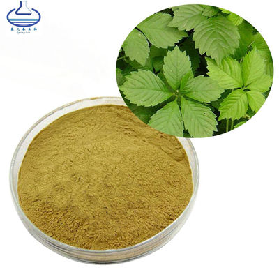Gynostemma Pentaphyllum Extract Gypenosides Cas 15588-68-8