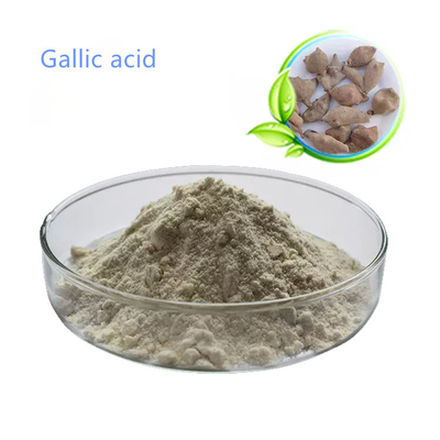 Gallnut Extract Oral Beauty Personal Care 98% Gallic Acid Powder