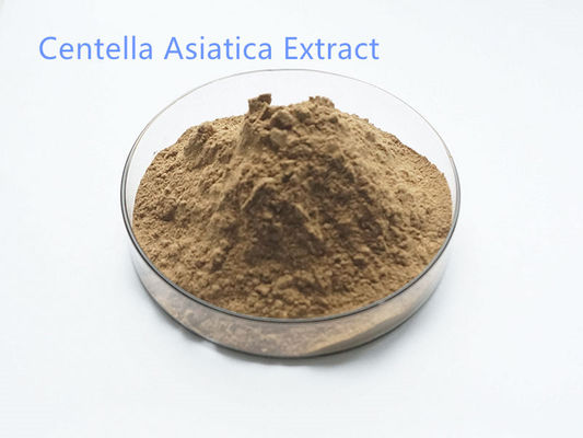 HPLC 10%~95% Centella Asiatica Extract Food And Cosmetic Grade