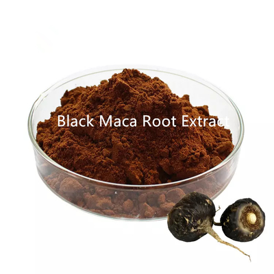 10/1 Pure Plant Extracts Black Maca Root Extract Powder
