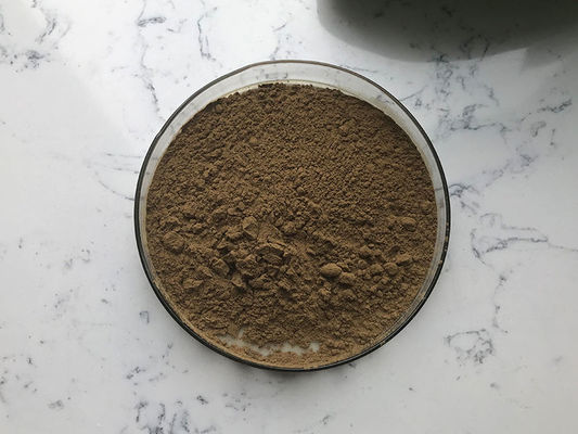Solvent Extraction Pure Plant Extracts Ginkgo Biloba Extract