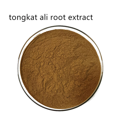 Food Grade Herbal Tongkat Ali Root Extract Powder For Healthcare Products