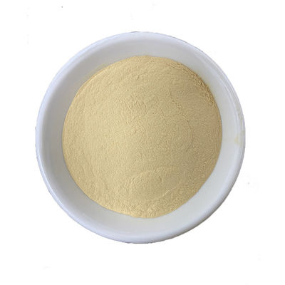 Food Grade Oyster Extract Korea Powder Pure Plant Extracts