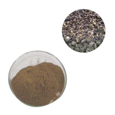 Brown food Grade palm kernel shell powder Pure Plant Extracts