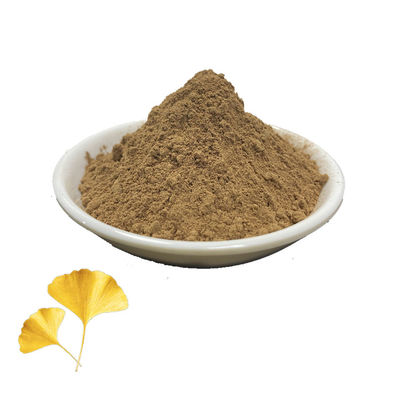 Straight Leaf Flavonoids Ginkgo Biloba Powder 6%-24%