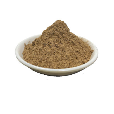 Straight Leaf Flavonoids Ginkgo Biloba Powder 6%-24%
