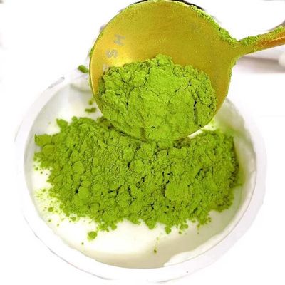 Solvent Extraction Pure Plant Extracts Food Natural Kale Extract