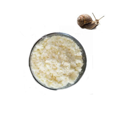 Slime Pure Plant Extracts Helix Aspersa Snail Powder 60% Protein