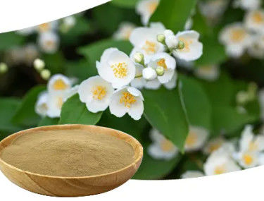 Brown Pure Plant Extracts Chinese Zhi Zi Powder Jasmine Powder