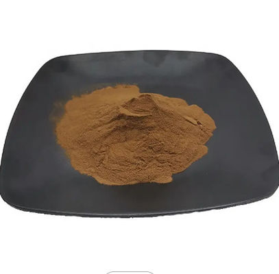 Herbal Extract Dandelion Root Extract Flavones Food Grade