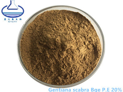 20% Pure Plant Extracts , Gentian Root Extract gentiana scabra bge pe
