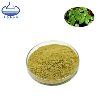 Gynostemma Pentaphyllum Extract Gypenosides Cas 15588-68-8
