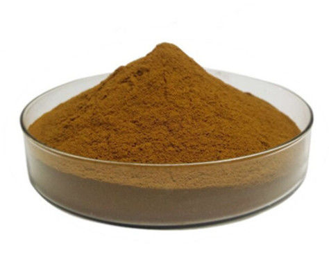 Natural Honeysuckle Extract Powder Chlorogenic Acid 10% Powder CAS 327-97-9