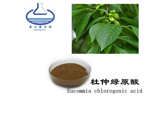 HPLC Natural Eucommia Ulmoides Bark Chlorogenic Acid 25% 98%