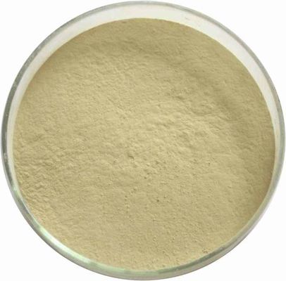 CAS 72480-62-7 Pure Plant Extracts Panax Ginseng Extract Powder