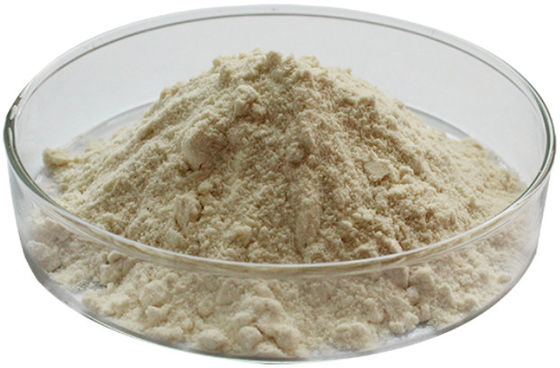Sea Cucumber Intestine Pure Erythritol Powder For Anti Aging