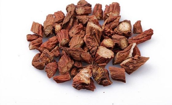 Salvia Miltiorrhiza Red Sage Root Powder Tanshinone II A 20%